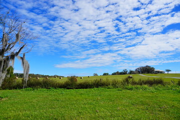 Round Hay stack in a florida farm and beautiful cloud	