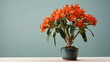 A potted plant with orange flowers on a table