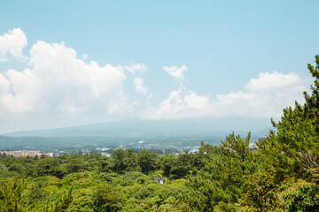 Canvas Print - Panorama view of Hallasan mountain and green forest from Seogwipo Chilsimni Park in Jeju Island, Korea