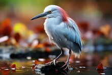 A Photo Of Kingfisher Bird Sitting On Lake Stone Generative AI