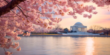 Cherry Blossom In Spring,Cherry Blossom Festival In Washington Dc In ,Cherry Blossom And Jefferson Memorial,The Jefferson Memorial During The Cherry Blossom Festival. Washington, D.c. In Usa
