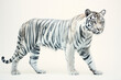 Adult white tiger with wet fur, isolated on a white background. Generated by artificial intelligence