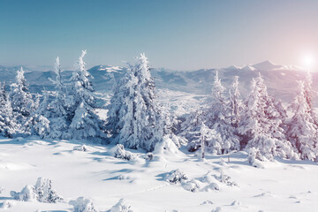 Poster - beautiful wintry landscape