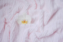 Pink Soft Towel With Folds, Pink Soft Texture Of Cotton Towel With White Orchid, Concept Of Body Care, Spa
