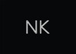 Creative Letters NK Logo Design Vector Template 