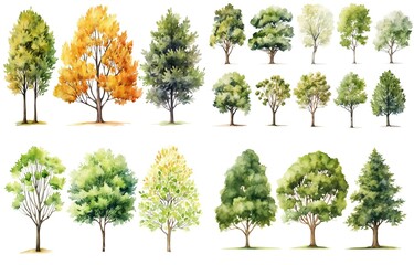 watercolor style illustration of various type of trees, summer and autumn collection set isolated on white background, Generative Ai