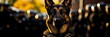 Strong intelligent breed; loyal police and service dog German Shepherd 