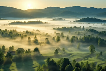 A magical morning in the green forest. Overlapping hills stretch to the horizon, and deep mist hangs in the hollows of the valley. Natural environment protection and natural healing concept