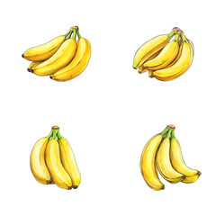 set of watercolor illustration of banana fruit isolated on a white background