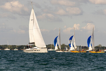 sailing in the bay