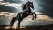 dramatic photo of a black horse rearing