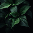 © Andrii Yablonskyi - green leaves in black background created with Generative Ai