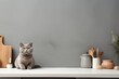 Gray domestic cat sitting on modern kitchen counter. Pet on kitchen table on sunny day at home. Light scandinavian interior design. Animal food concept.  Cozy place for cooking. Banner with copy space
