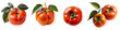 persimmon png. Persimmon fruit isolated png. Persimmon flat lay png. Persimmon top view png. Diospyros. Organic fruit png. Tasty food. Vegetarian. Vegan. Winter fruit. persimmon set png