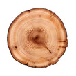 front view cedar tree slice cookie isolated on a white transparent background 
