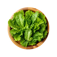 Wall Mural - top view of escarole vegetable in a wooden bowl isolated on a white transparent background 