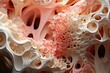 Abstract background. Organic structure resembling bone tissue or coral. The texture complex and porous with an intricate network of interconnecting cavities. 