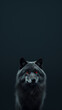 © Andrii Yablonskyi - Ultra minimalism photography of a wolf, phone background created with Generative Ai