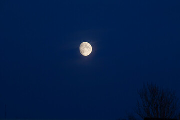 moon