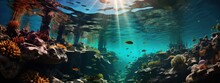  Beautiful Underwater Of Sea