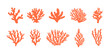 Set of flat coral reef vectors