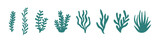 Fototapeta  - Ocean plants marine foliage vector set