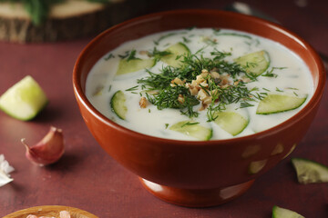 Wall Mural - A bowl with Tarator cold soup - traditional Bulgarian dish