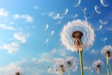 Fototapeta Dmuchawce - Dandelion fluff soaring into the sky with a touch of light blue, exhibiting delicate compositions within a surrealist-fantasy framework.