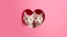 Two Cute Cats Or Kittens Peeking Out From Hole Of Heart Shape Isolated On Pink Background. Copy Space