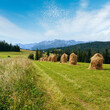 Summer mountain village outskirts with haystacks and Tatra range behind (Poland)