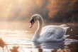 A beautiful white swan gracefully swimming in the water. Perfect for nature-themed designs or as a symbol of elegance and grace.
