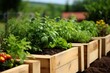 Lush Wooden Raised Beds in Modern Garden with Flourishing Plants, Fragrant Herbs, and Vibrant Blooms