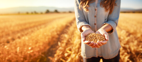 Close-up of a farmer's hand gently holding yellow legume seeds, highlighting the natural beauty and importance of organic crop cultivation.