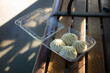 Chinese buns on an outdoor bench