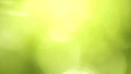 Loop beautiful blurry green nature bokeh abstract background. Sunlight shining through the leaves of trees, Natural blurred background. Bright morning sunshine through green bokeh of fresh foliage.