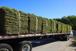 Pallets of St. Augustine sod being delivered on a truck. 