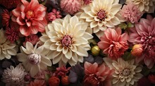 An Artistic 3D Wallpaper Depicting An Arrangement Of Dahlias And Peonies, Their Petals Seemingly Soft To The Touch.