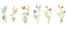 Watercolor Of Butterfly Flower And Leaves Isolated On Transparent Background