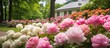 In May , as spring painted Michigan with vibrant greens, Ann Arbor's Peony Gardens held a breathtaking display of flowers, enchanting all with the beauty of nature in Southeast Michigan.