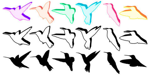 Wall Mural - Set trendy flying hummingbirds icon logo design vector illustration