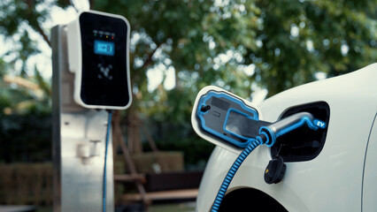 Electric car plugged in with charging station to recharge battery with electricity by EV charger cable in eco green park and greenery foliage. Future innovative ev car and energy sustainability.Peruse