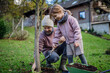 © Halfpoint - Girl and father planting tree in garden in the spring, using compost. Concept of sustainable gardening family gardening.