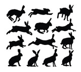 Fototapeta  - The set silhouettes of wild hares.
