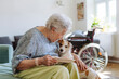 © Westend61 - Happy senior woman holding plate of food and stroking dog at home