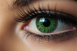 © mfz - Macro shot of female green eye with 2d 3d 4d mega volume long false lashes. Young woman with perfect eyes cat shape and beautiful black eyelash extensions. Closeup beauty photo of lash. generative ai.