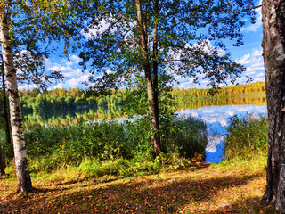 Beautiful colorful summer spring natural landscape with a lake in Park surrounded by green foliage of trees in sunlight. Water through the branches of trees