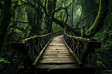 Moss Covering The Wooden Bridge On The Forest