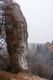 Fototapeta  - A rock called Maczuga Herkulesa in Pieskowa Skała