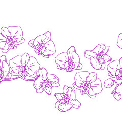 Wall Mural - Pattern with orchid flowers. Beautiful decorative plants.