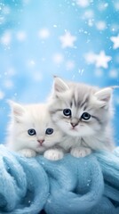 Wall Mural - Winter background kittens frame art with space for text, background image, AI generated